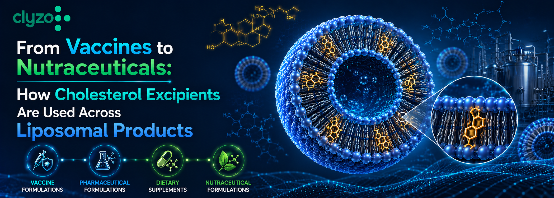 From Vaccines to Nutraceuticals: How Cholesterol Excipients Are Used Across Liposomal Products